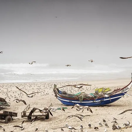 A Beira - Casa De Ferias 別荘 ミラ