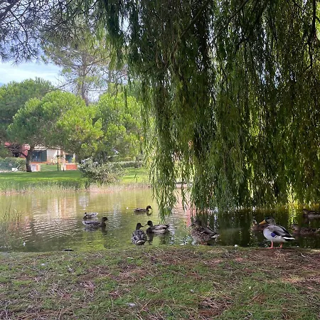 A Beira Lago - Casa De Ferias *