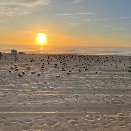 Tatil Evi A Beira - Casa De Ferias Mira (Coimbra)