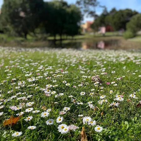 A Beira - Casa De Ferias Tatil Evi *