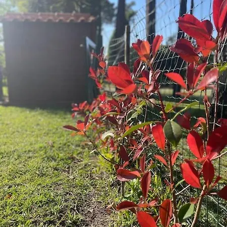 Tatil Evi A Beira - Casa De Ferias Mira (Coimbra)
