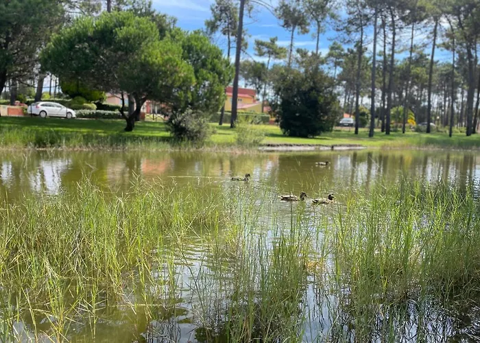 à Beira - Casa De Mira (Coimbra)