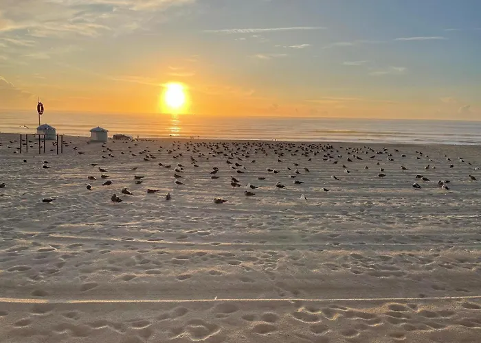 Hébergement de vacances à Beira - Casa De Mira (Coimbra)