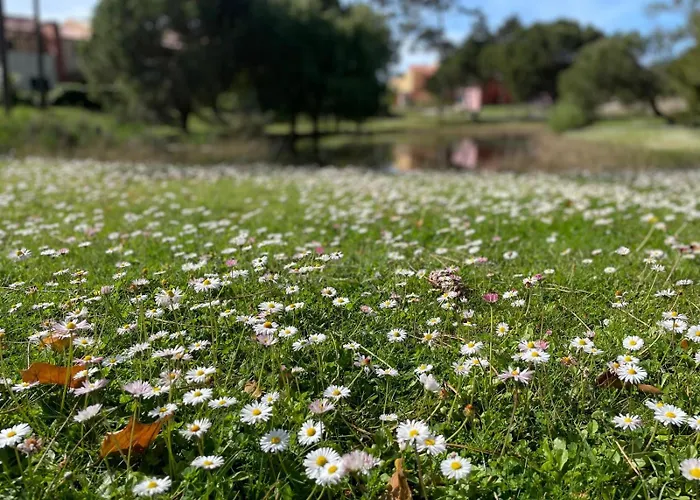 à Beira - Casa De Hébergement de vacances *