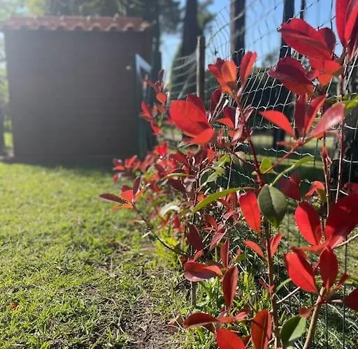 Hébergement de vacances à Beira - Casa De Mira (Coimbra)